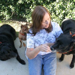 Meet your Posher, Patty